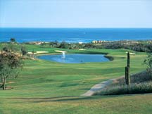 Cabo San Lucas Golfing